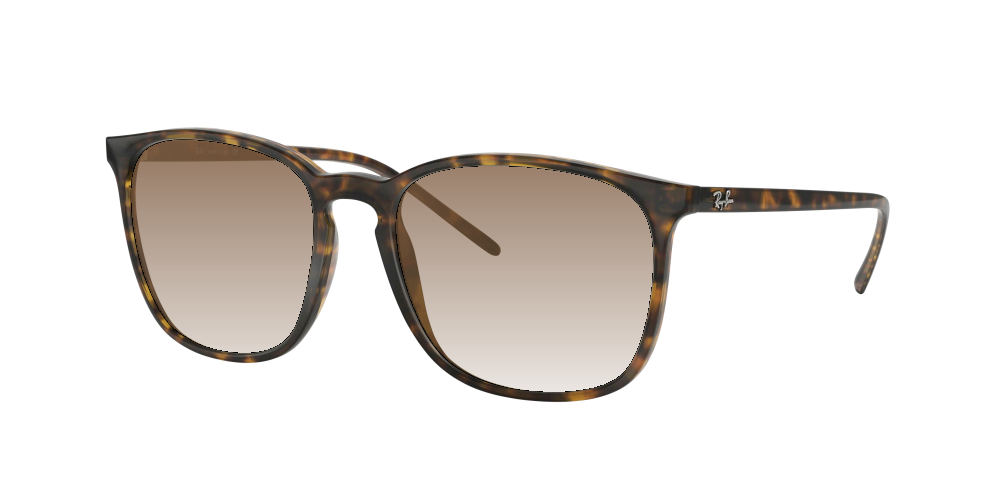 Ray Ban RB4387 710/73 Ray Ban RB4387 710/73