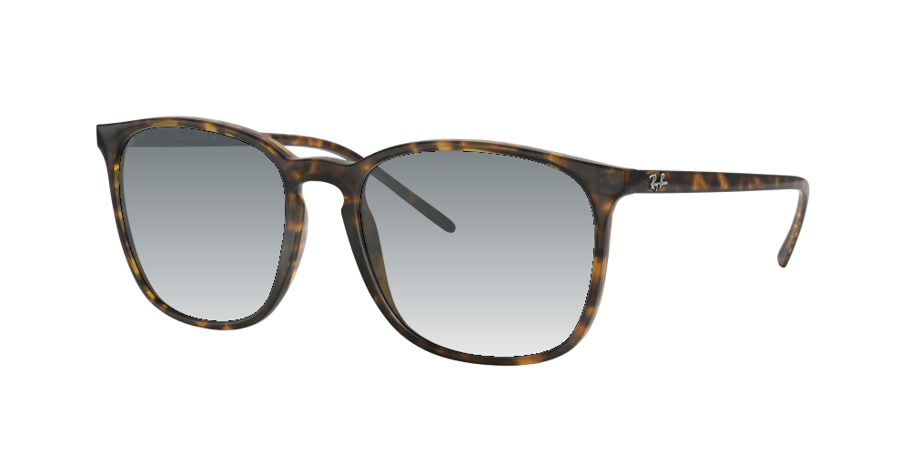 Ray Ban RB4387 710/73 Ray Ban RB4387 710/73