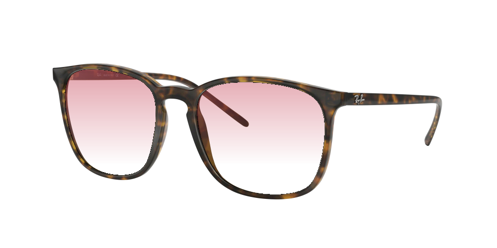 Ray Ban RB4387 710/73 Ray Ban RB4387 710/73