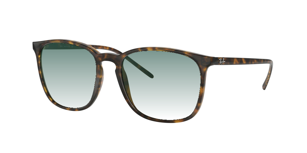 Ray Ban RB4387 710/73 Ray Ban RB4387 710/73