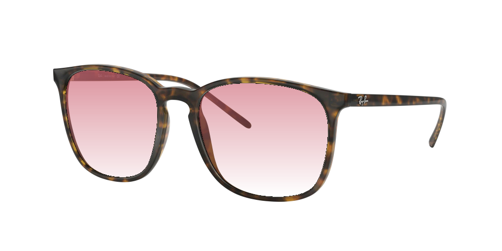 Ray Ban RB4387 710/73 Ray Ban RB4387 710/73