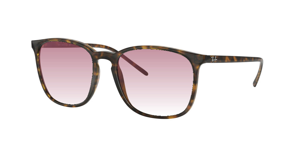 Ray Ban RB4387 710/73 Ray Ban RB4387 710/73