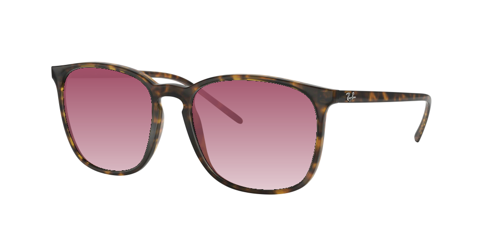 Ray-Ban RB4387 710/73 Ray-Ban RB4387 710/73
