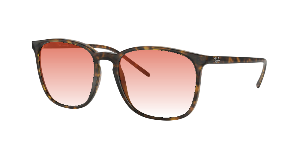 Ray Ban RB4387 710/73 Ray Ban RB4387 710/73
