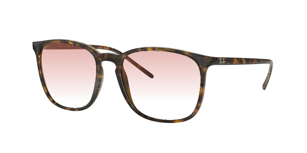 Ray Ban RB4387 710/73 Ray Ban RB4387 710/73