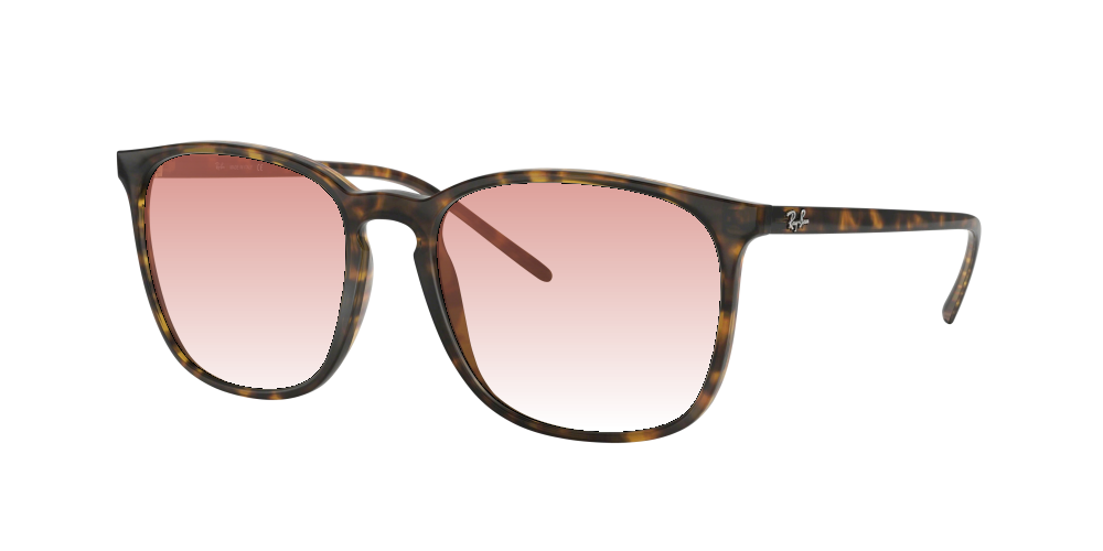 Ray Ban RB4387 710/73 Ray Ban RB4387 710/73
