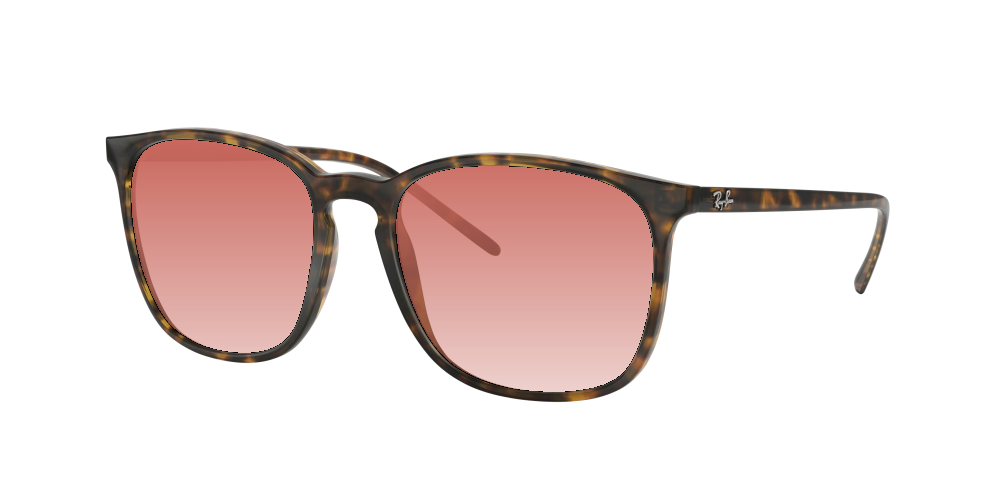 Ray Ban RB4387 710/73 Ray Ban RB4387 710/73