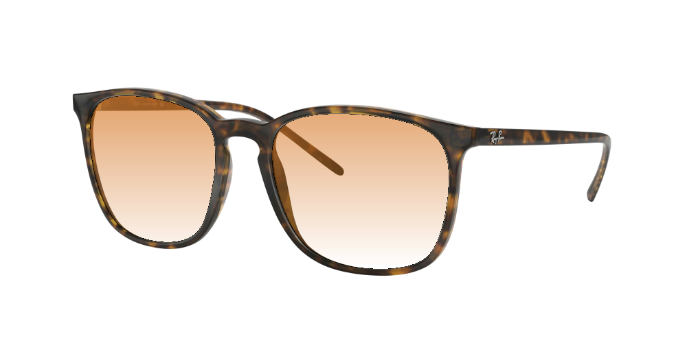 Ray Ban RB4387 710/73 Ray Ban RB4387 710/73
