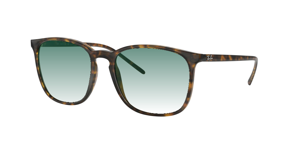 Ray Ban RB4387 710/73 Ray Ban RB4387 710/73