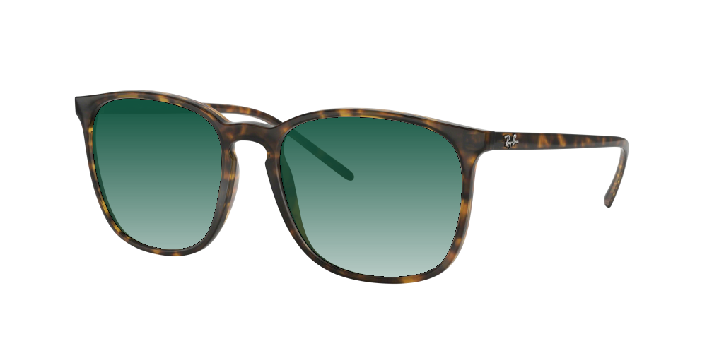Ray Ban RB4387 710/73 Ray Ban RB4387 710/73