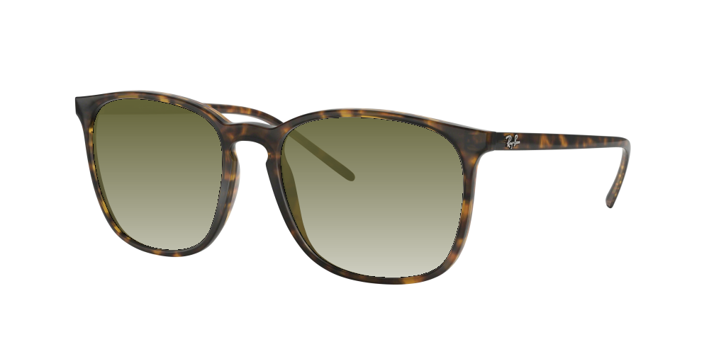 Ray Ban RB4387 710/73 Ray Ban RB4387 710/73