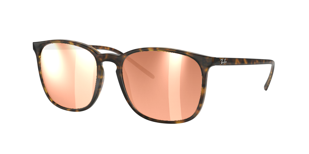 Ray Ban RB4387 710/73 Ray Ban RB4387 710/73