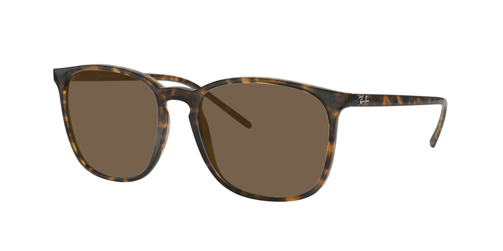 Ray Ban RB4387 710/73 Ray Ban RB4387 710/73