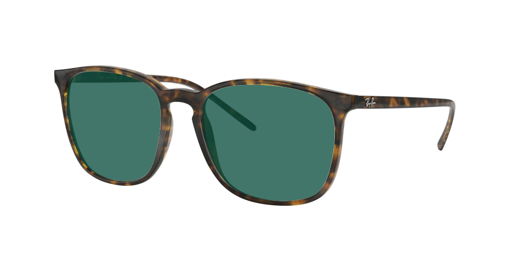 Ray Ban RB4387 710/73 Ray Ban RB4387 710/73