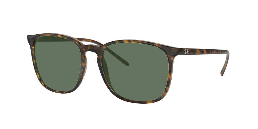 Ray Ban RB4387 710/73 Ray Ban RB4387 710/73