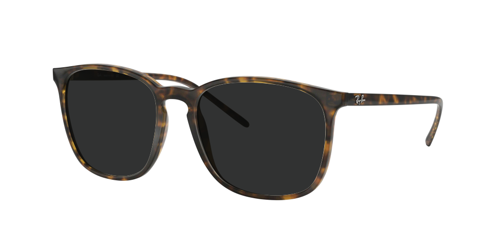 Ray Ban RB4387 710/73 Ray Ban RB4387 710/73