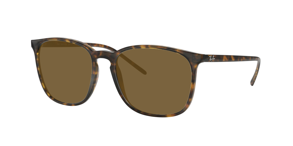 Ray Ban RB4387 710/73 Ray Ban RB4387 710/73