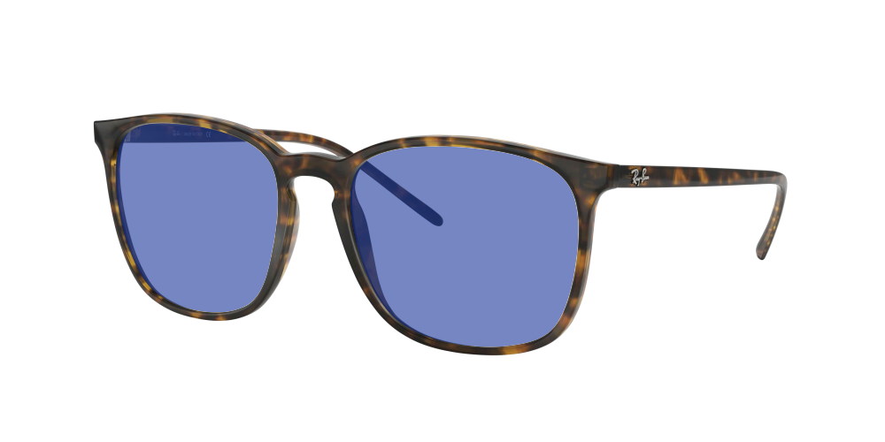 Ray Ban RB4387 710/73 Ray Ban RB4387 710/73