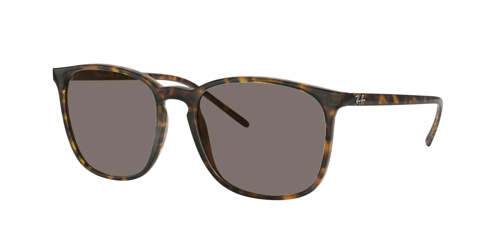 Ray Ban RB4387 710/73 Ray Ban RB4387 710/73