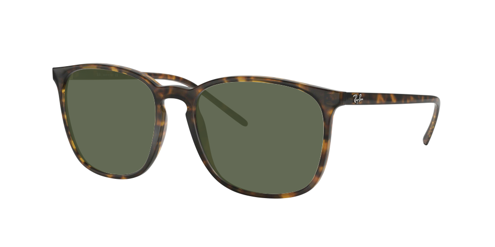 Ray Ban RB4387 710/73 Ray Ban RB4387 710/73