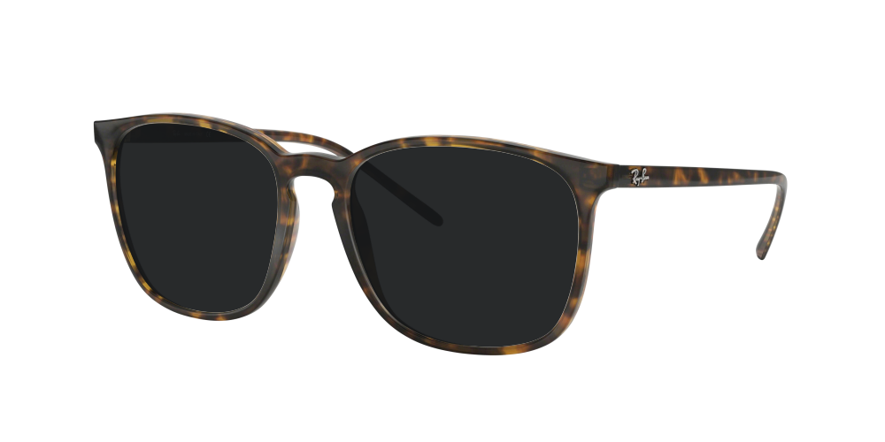 Ray Ban RB4387 710/73 Ray Ban RB4387 710/73