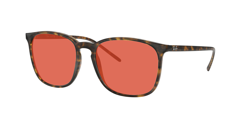 Ray-Ban RB4387 710/73 Ray-Ban RB4387 710/73