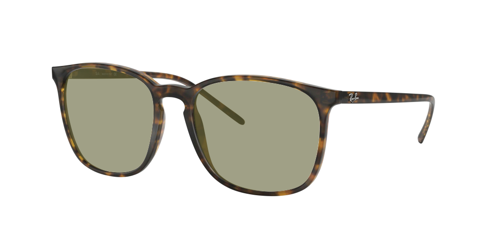 Ray Ban RB4387 710/73 Ray Ban RB4387 710/73