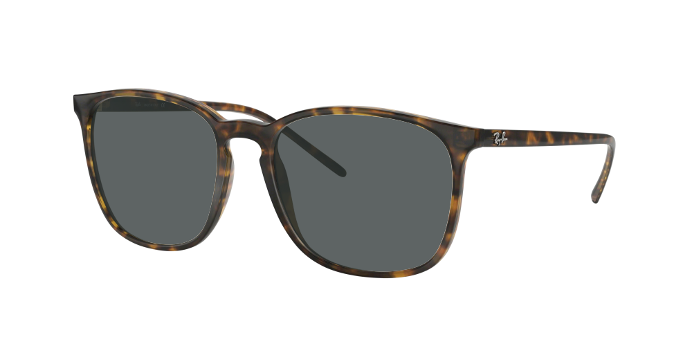 Ray Ban RB4387 710/73 Ray Ban RB4387 710/73