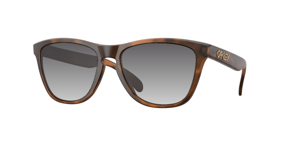 Oakley OO9013 9013C5 Frogskins Oakley OO9013 9013C5 Frogskins