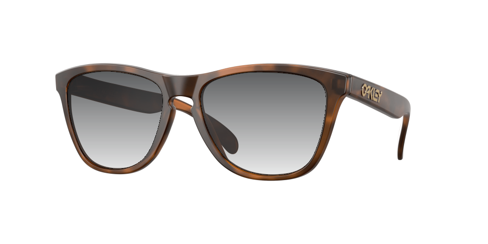 Oakley OO9013 9013C5 Frogskins Oakley OO9013 9013C5 Frogskins