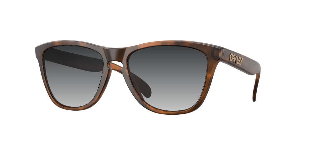 Oakley OO9013 9013C5 Frogskins Oakley OO9013 9013C5 Frogskins