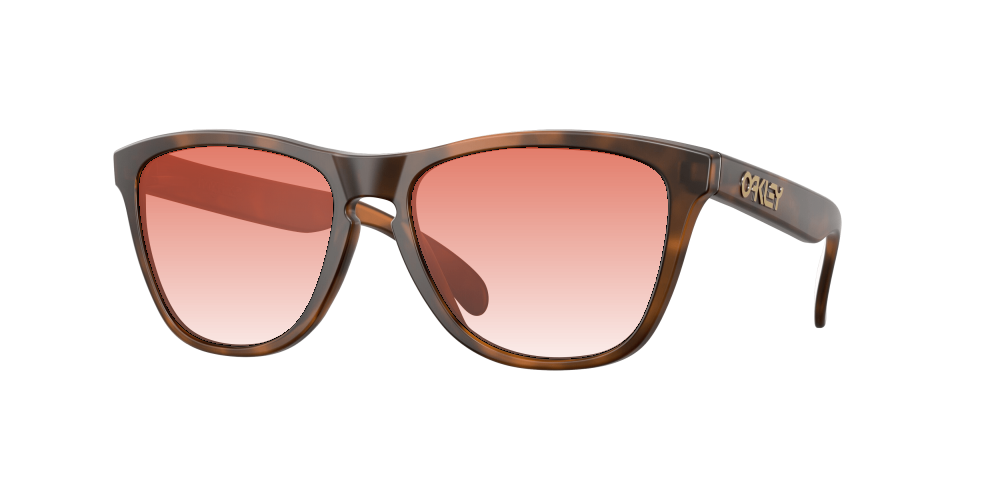 Oakley OO9013 9013C5 Frogskins Oakley OO9013 9013C5 Frogskins