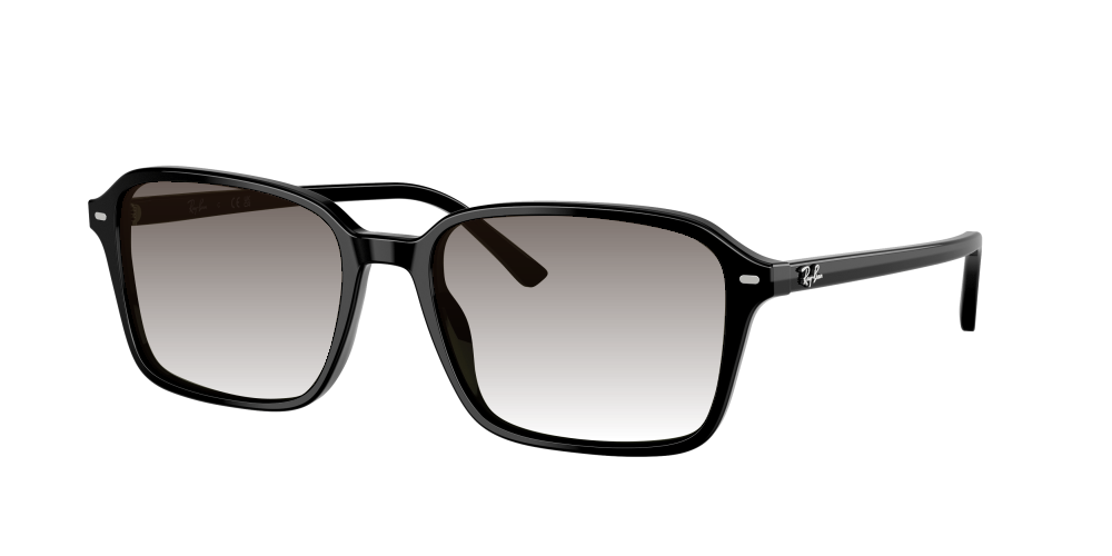 Ray Ban RB2231 901/31 Raimond Ray Ban RB2231 901/31 Raimond