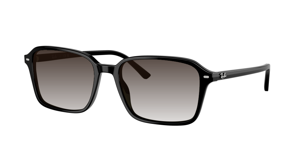 Ray Ban RB2231 901/31 Raimond Ray Ban RB2231 901/31 Raimond