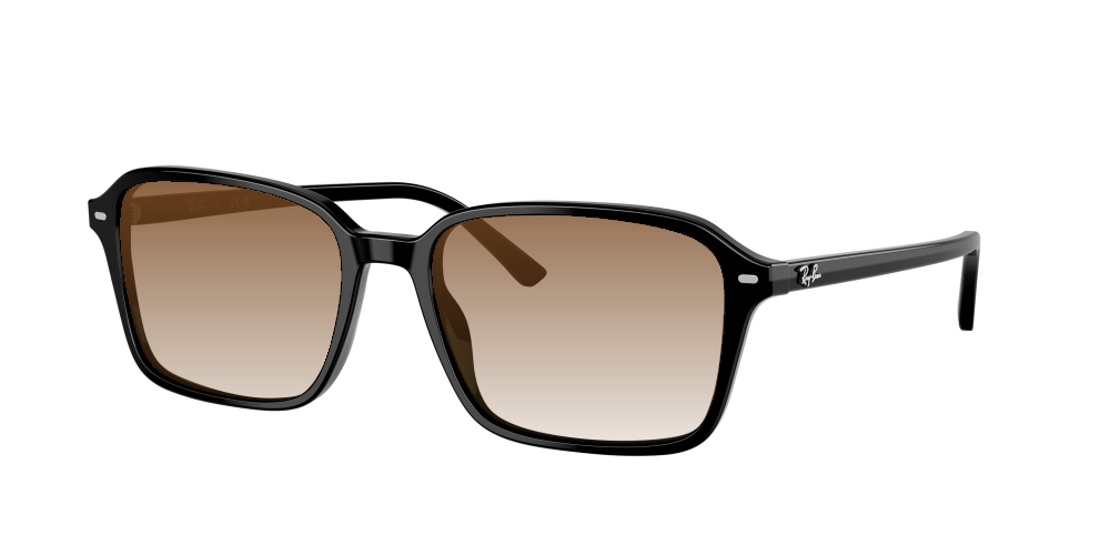 Ray Ban RB2231 901/31 Raimond Ray Ban RB2231 901/31 Raimond