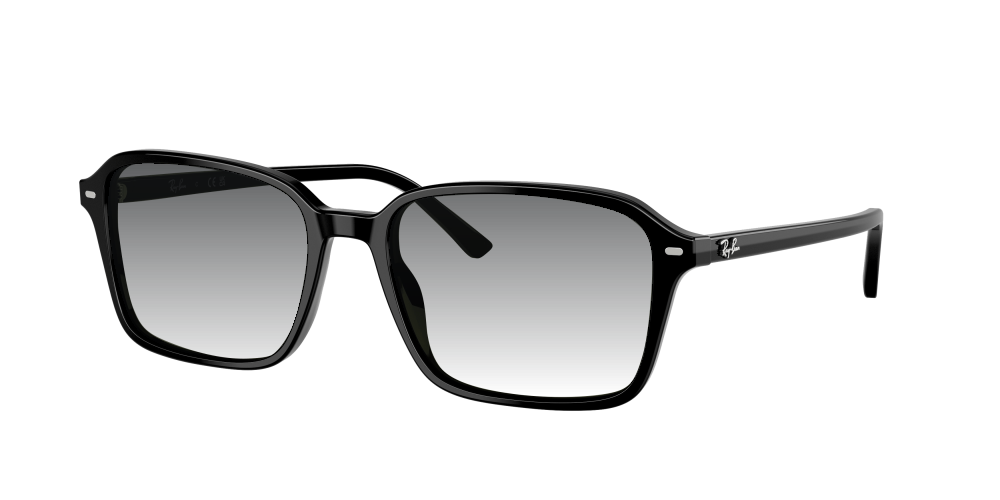 Ray Ban RB2231 901/31 Raimond Ray Ban RB2231 901/31 Raimond