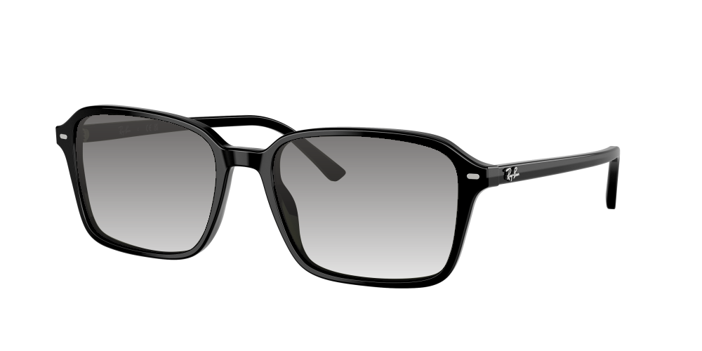 Ray Ban RB2231 901/31 Raimond Ray Ban RB2231 901/31 Raimond