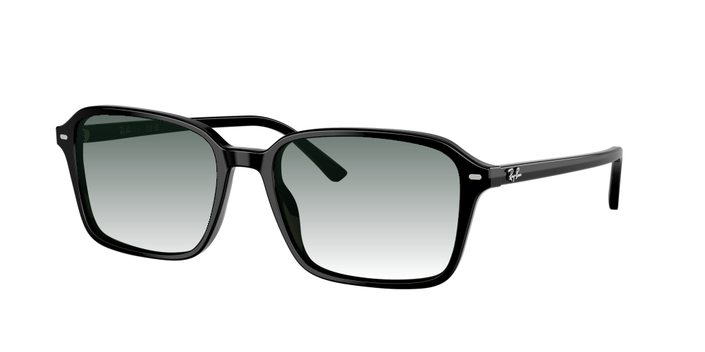 Ray Ban RB2231 901/31 Raimond Ray Ban RB2231 901/31 Raimond
