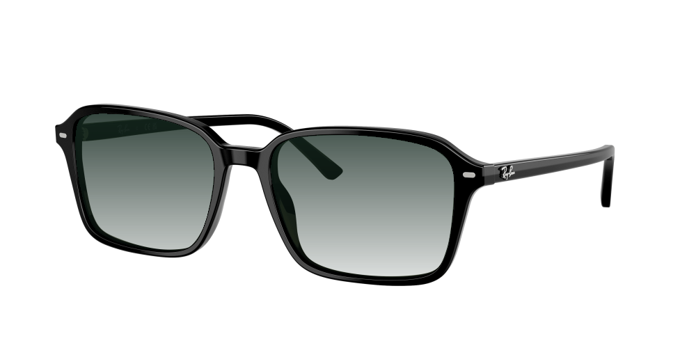 Ray Ban RB2231 901/31 Raimond Ray Ban RB2231 901/31 Raimond
