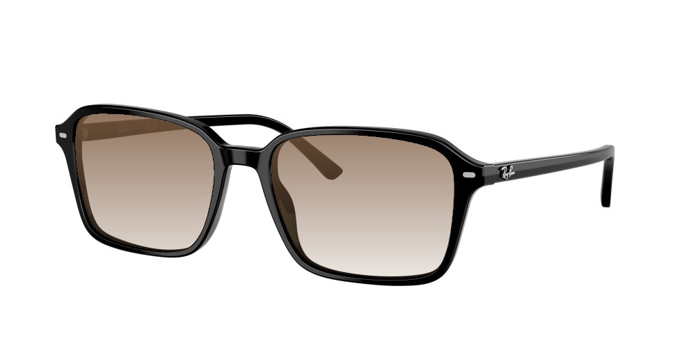 Ray Ban RB2231 901/31 Raimond Ray Ban RB2231 901/31 Raimond