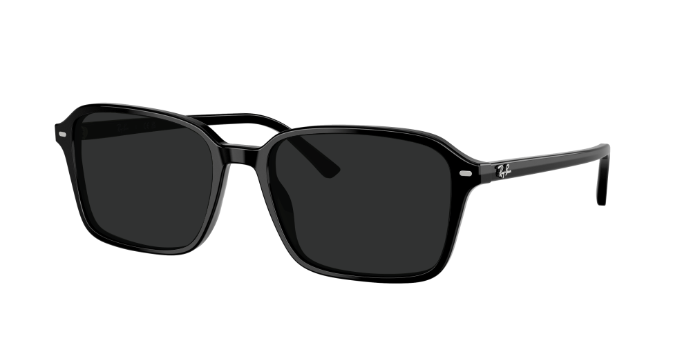 Ray Ban RB2231 901/31 Raimond Ray Ban RB2231 901/31 Raimond