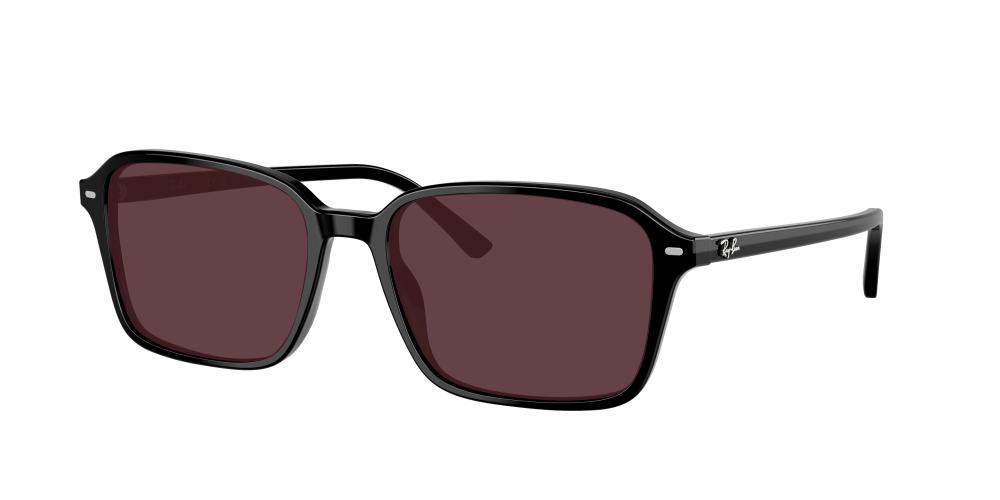 Ray Ban RB2231 901/31 Raimond Ray Ban RB2231 901/31 Raimond