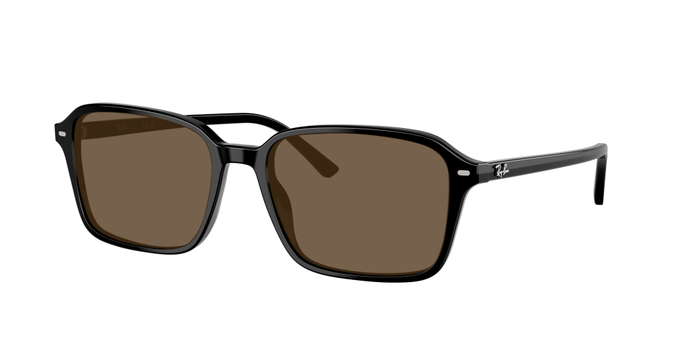 Ray Ban RB2231 901/31 Raimond Ray Ban RB2231 901/31 Raimond