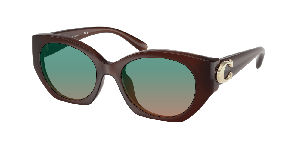 Coach HC8407U 584174 Cw194 Coach HC8407U 584174 Cw194