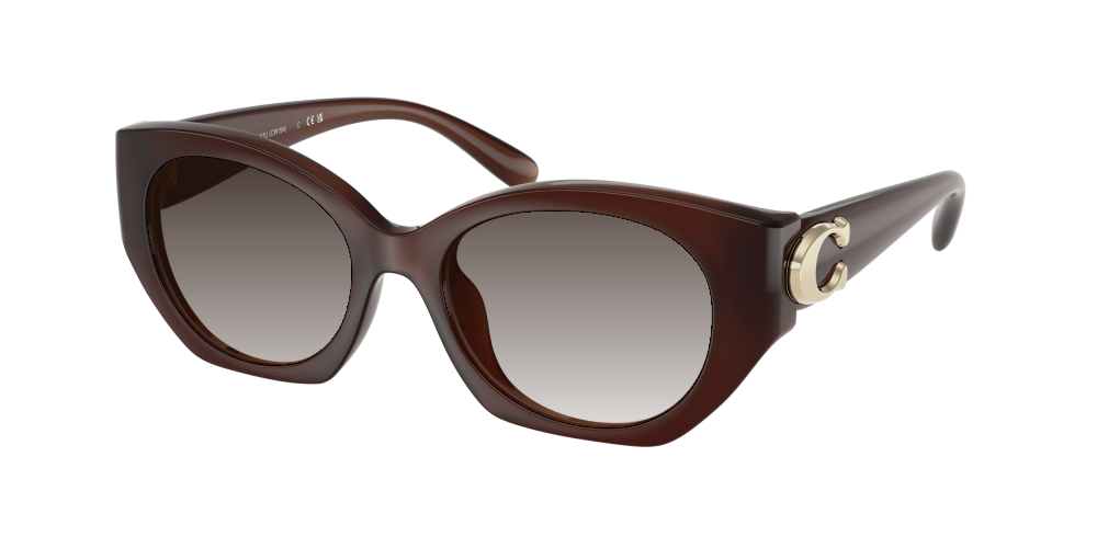 Coach HC8407U 584174 Cw194 Coach HC8407U 584174 Cw194