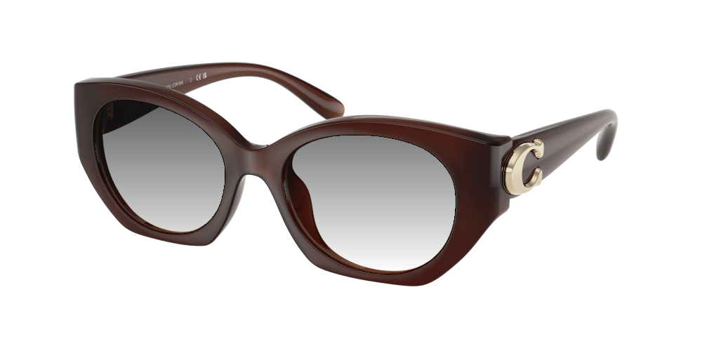 Coach HC8407U 584174 Cw194 Coach HC8407U 584174 Cw194