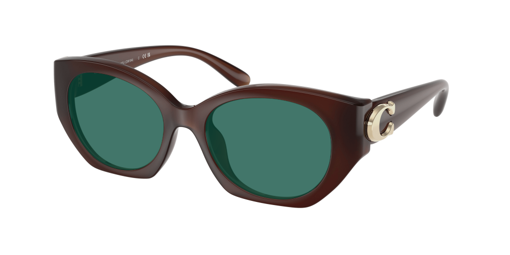 Coach HC8407U 584174 Cw194 Coach HC8407U 584174 Cw194