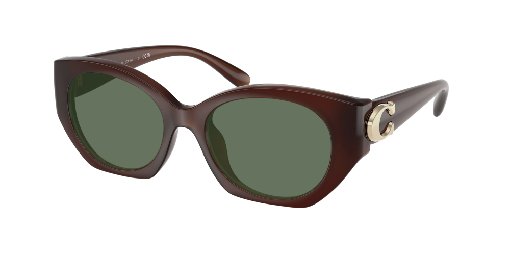 Coach HC8407U 584174 Cw194 Coach HC8407U 584174 Cw194