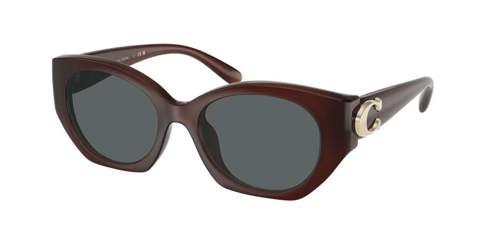 Coach HC8407U 584174 Cw194 Coach HC8407U 584174 Cw194