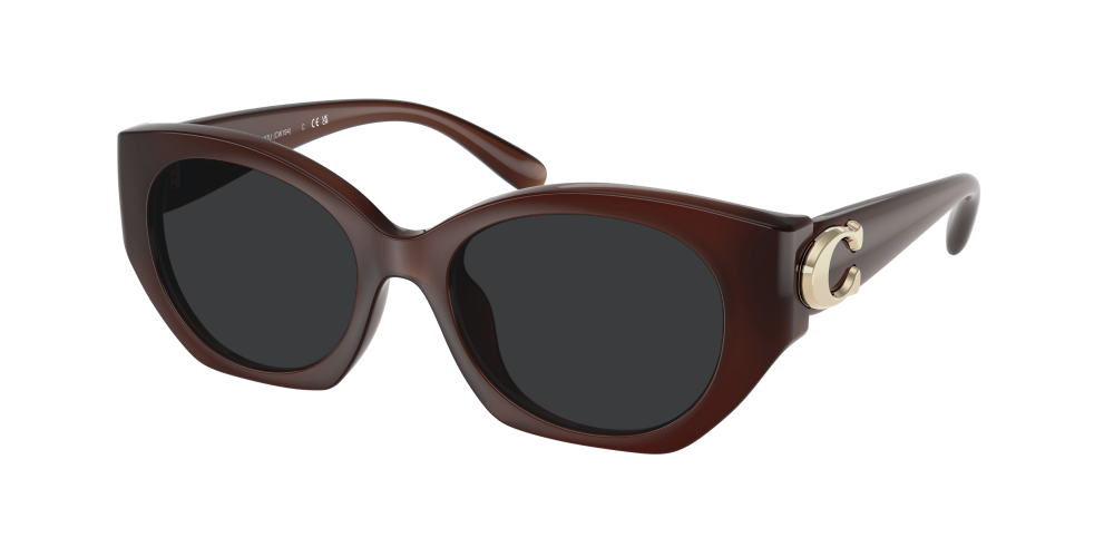 Coach HC8407U 584174 Cw194 Coach HC8407U 584174 Cw194